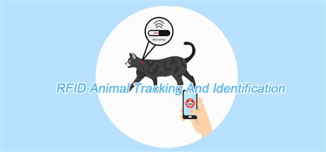 rfid animal tags india|animal identification and tracking.